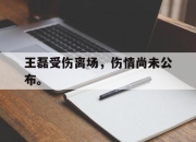 星空体育官网下载入口-王磊受伤离场，伤情尚未公布。