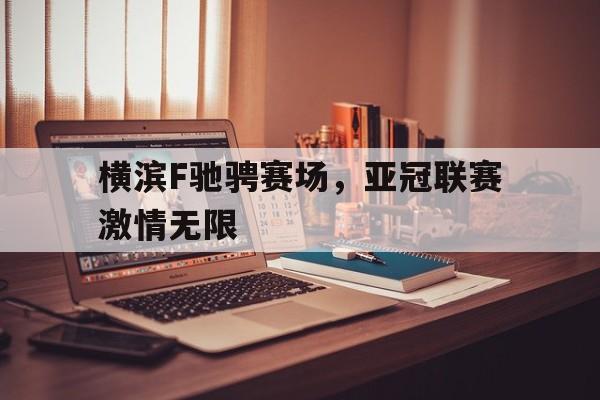 横滨F驰骋赛场，亚冠联赛激情无限